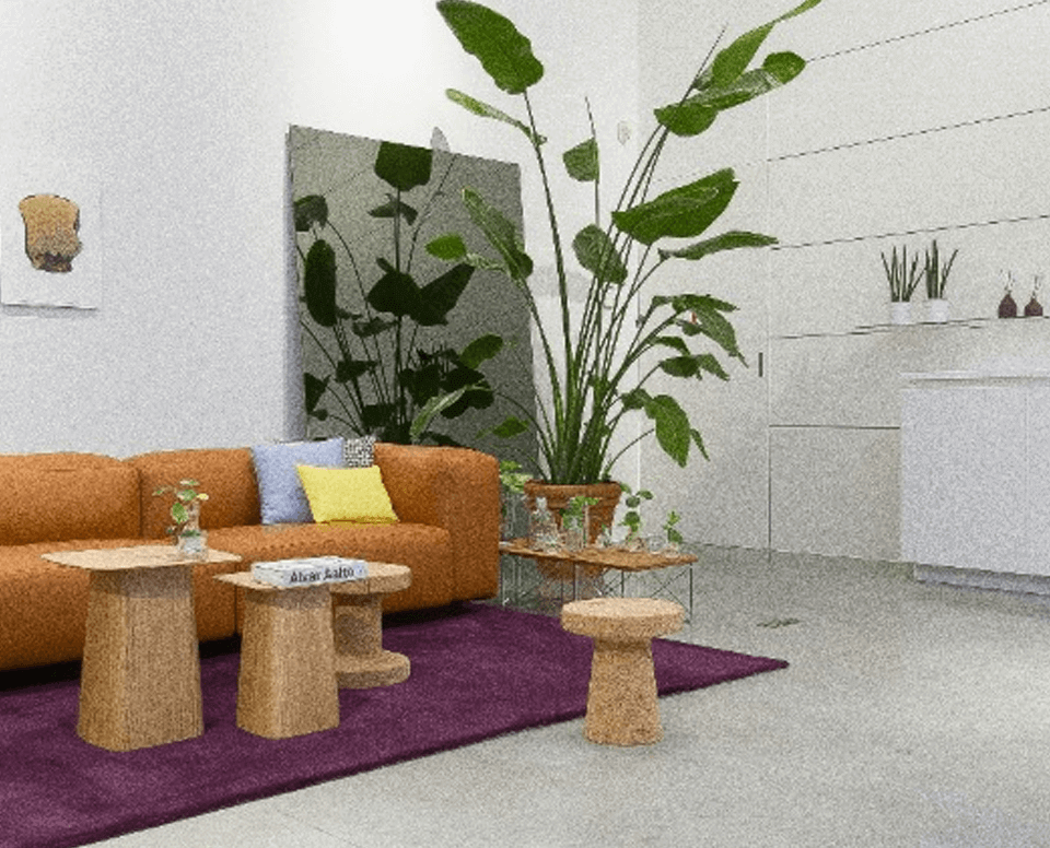 Best Slots in 1xBet – Top Slot Games with High RTP 2026